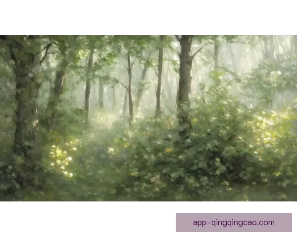 拥抱自然，畅享无界：青草视频，您触手可及的绿色视界